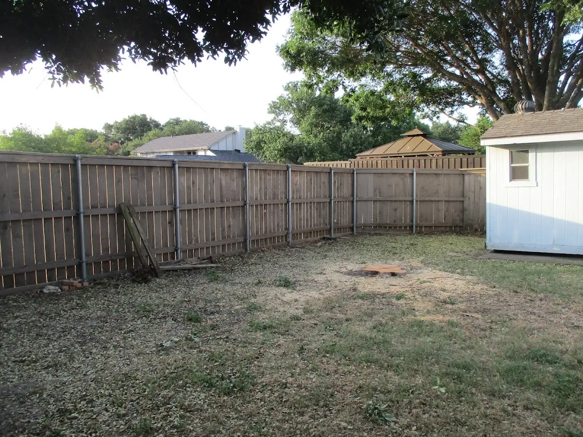 Cleared yard after professional tree removal in Stanfordville